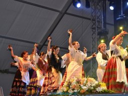 Festival de Folkore en Mula